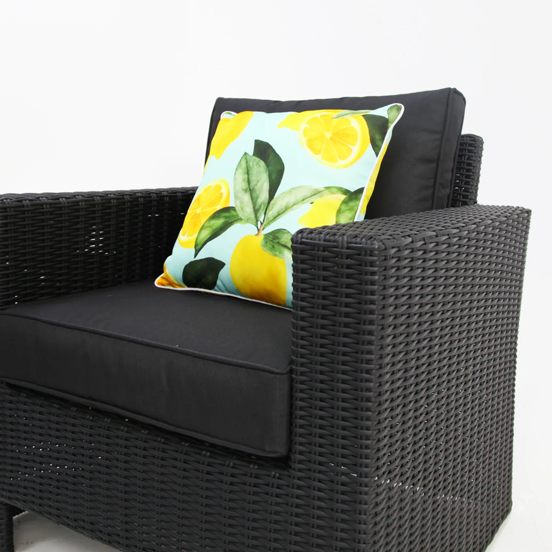 Banksia Dallas 211CT - Black - Image 6