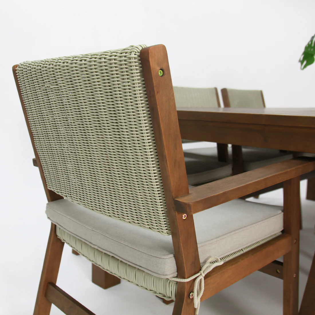 Botanica 9pc Dining Setting - Image 8
