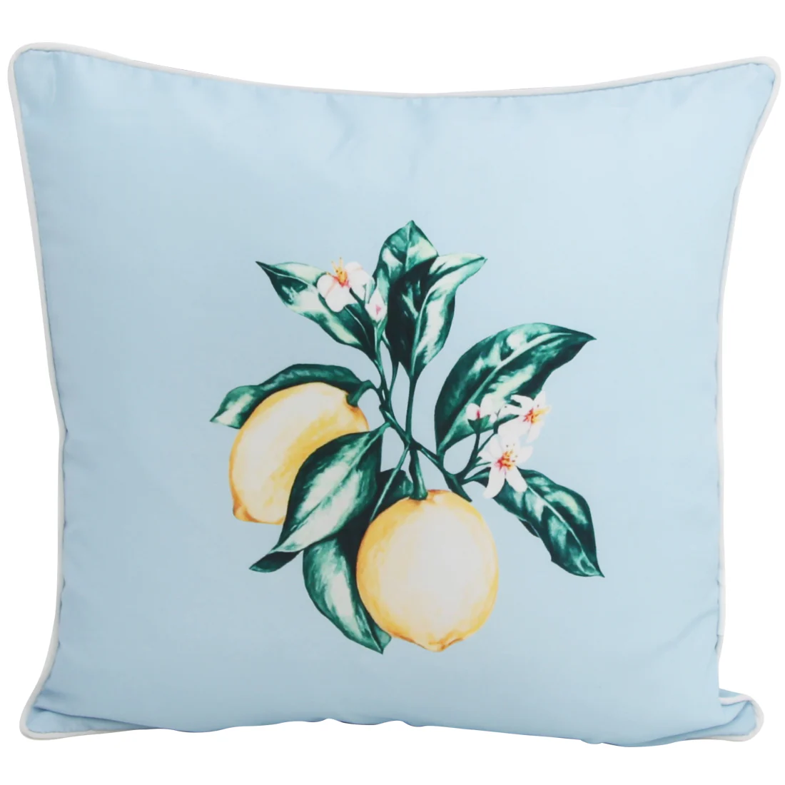 Citrus Blue 45x45cm Outdoor Cushion