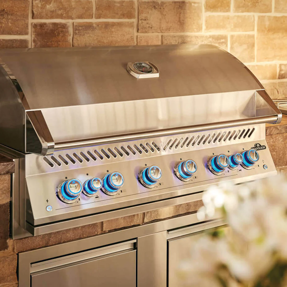 Napoleon Built in 700 Series LPG 44" with Rear Burner + Lights - BIG44RBIPSS-1-AU - Image 7